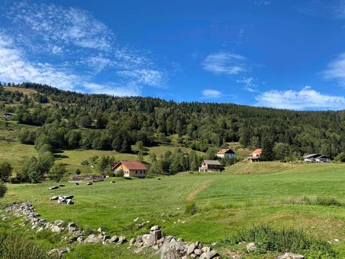 Chalet Spa Le Diamant Nathalie Mn La Rouge La Bresse Dış mekan fotoğraf